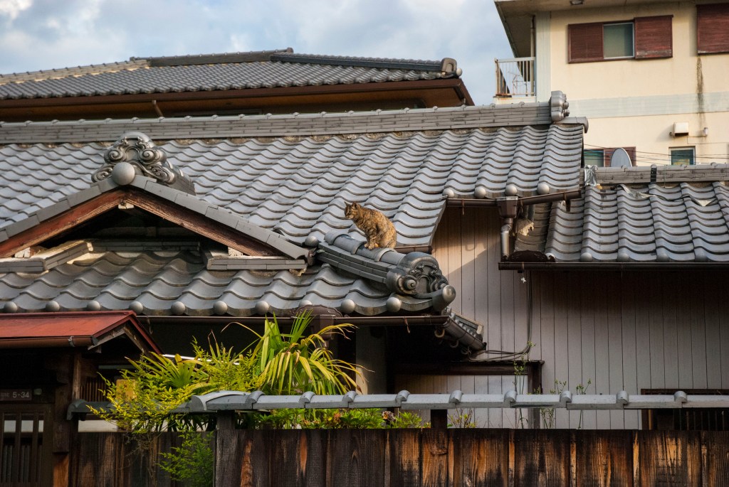 Excerpts from Osaka English&nbsp;House